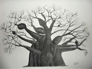Julia-ArtMalala_Baobab-en-deuil_Fusain_60X80