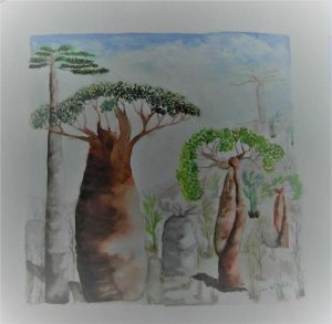 Julia-ArtMalala_Baobabs-Mélanges_Aquarelle-30X30