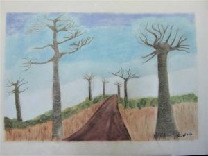 Julia-ArtMalala_Baobabs-en-éclaiteur_Pastel_50X70