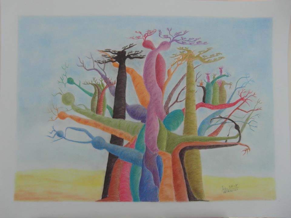 Baobabs de couleur
